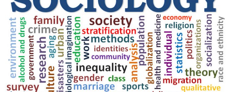 sociology jobs