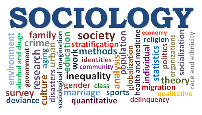 sociology jobs